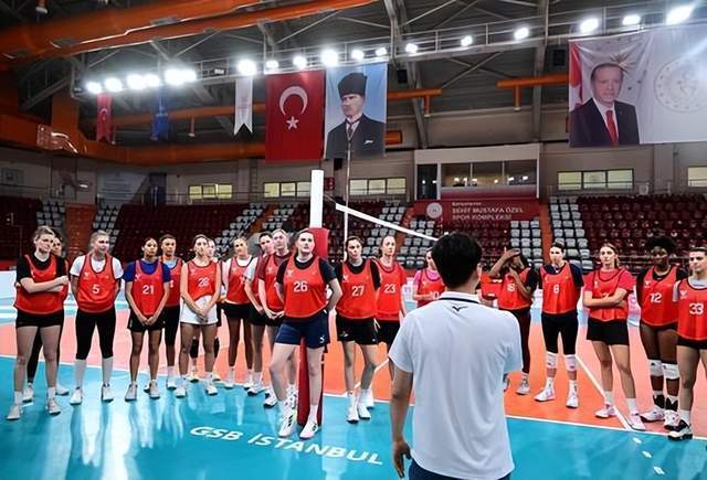 率领的Wo, 成职业排球, 些积极的信